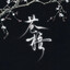 CW°「苍梧」-彼岸