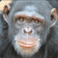 bonobro