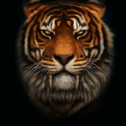TIGER - steam id 76561199260735063