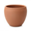 clay pot