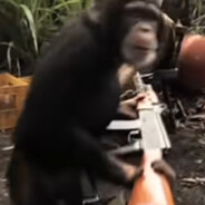 Affe_Mit_Kalashnikov