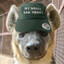 yeen