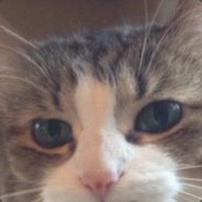Мама знает что я псих - steam id 76561198145425521