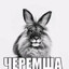 черемша