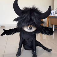 我菠萝吹雪吹的不是雪