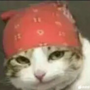 小镇第一突破手陆展博