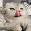 Jigglypuff