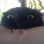 CHOMPSLAYER