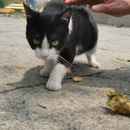 雷霆爆钢舒肤佳