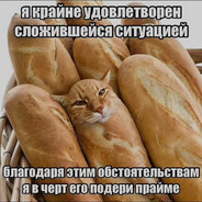 korolevvskiy