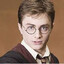 Vulgo Potter da cidade de Palet