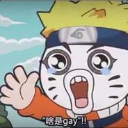 啥是Gay