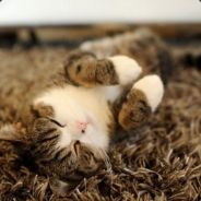 我跳~我跳~我再跳~~~