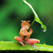 se proteja da chuva