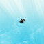solwave