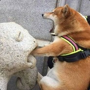 小弱智真吖真弱智