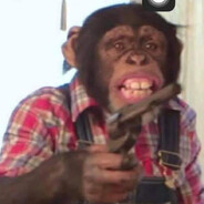 Chimp