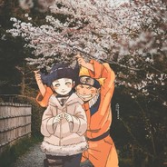 雏菊绽放于风中