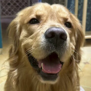 压力我的会养胃