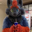 Zorua Fursuiter