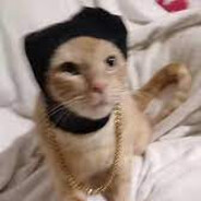 Gaugelis - steam id 76561198182831582