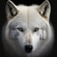 White_Wolf