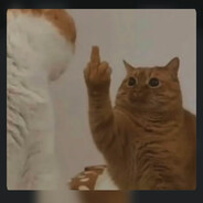 8==D<*>