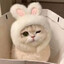 loly