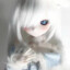 Galosy