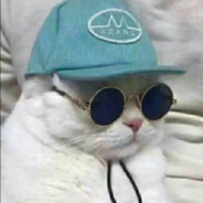 文登10¢回收办主任从孑程