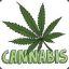 ººKidCannabisºº