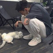 正義の抽象带篮子