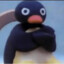 Pingu