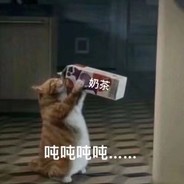 今天也要早点睡