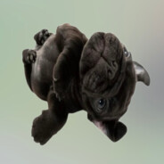 Montagem Centauri avatar