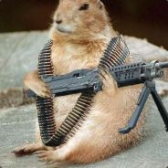 schlab0