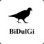 BiDulGi