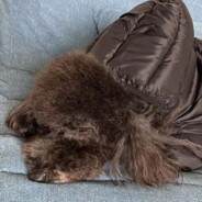 银海第一突击手 刘正