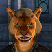 khajiit Runner