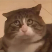 脸上写满了无敌