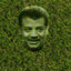 Neil The Grass Tyson