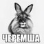 ЧЕРЕМША