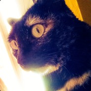 danyraccoon