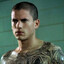 scofield