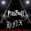 [ђภא-ςlคภ] Pittbull