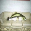 Lustiger Fisch