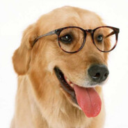 ꧁༺ཌ༈钟然燃༈ད༻