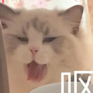 千手柱间 [秽土转生]