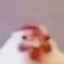 JIHSUS