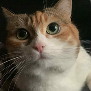 titisama - steam id 76561197965476144